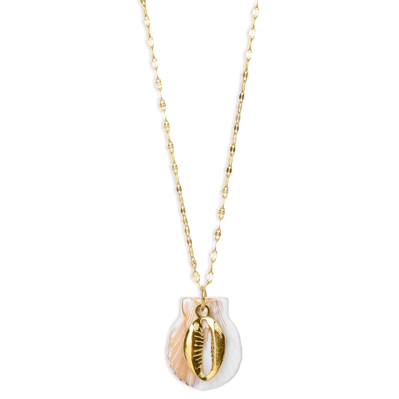 Cowrie shell  Necklace